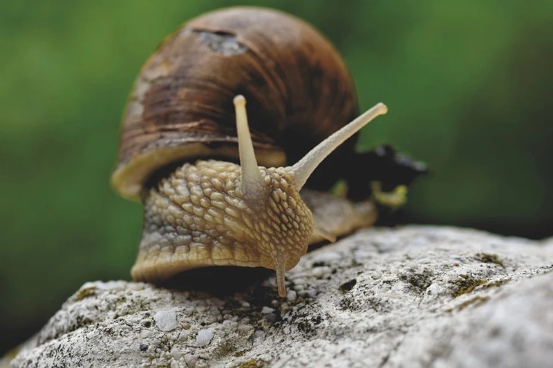 Naturaleza - 2020 - 07