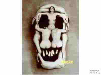 Calabera Cuerpos Humanos