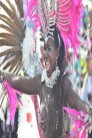 Carnaval de Barranquilla 2014 - 02