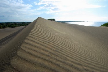 Dunas de Bani