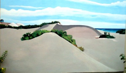 Dunas elevadas de Bani